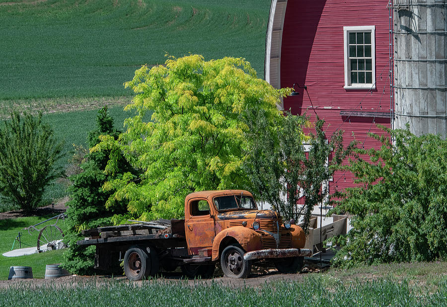 Every Farm Needs An Old Orange Truck Photograph by Marcy Wielfaert