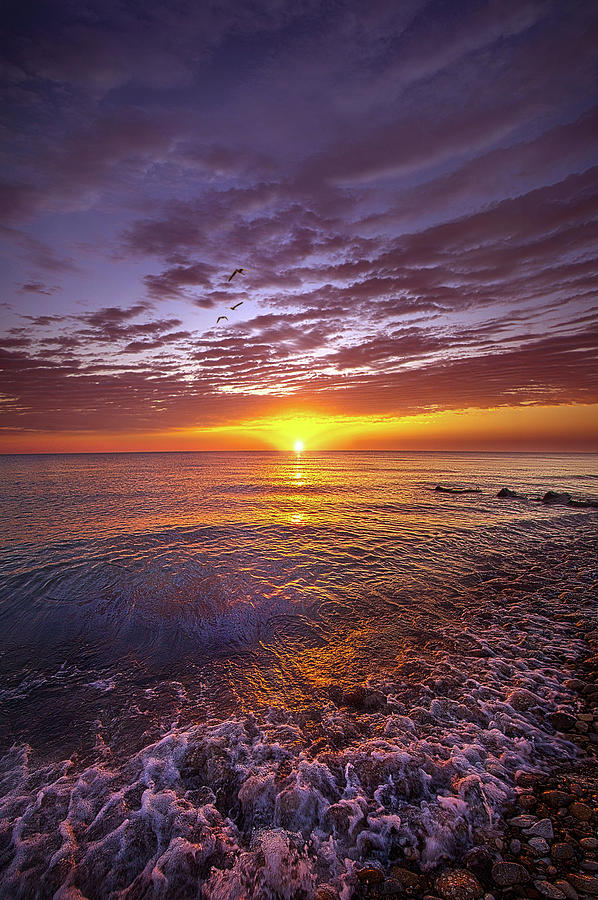 Every Spiritual Gift You Need Photograph by Phil Koch