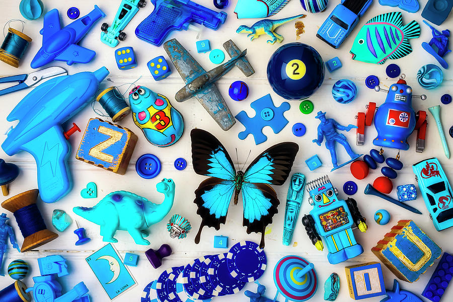 Toy Photograph - Everything Blue by Garry Gay