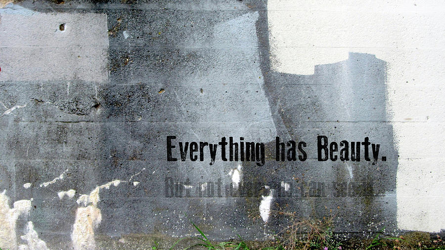 Everything has Beauty. But not everyone can see it Digital Art by Anita Burgermeister
