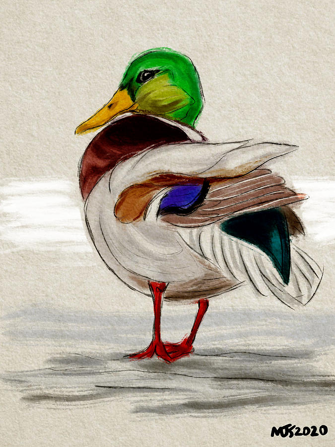 Everything Is Ducky  Digital Art by Michael Kallstrom
