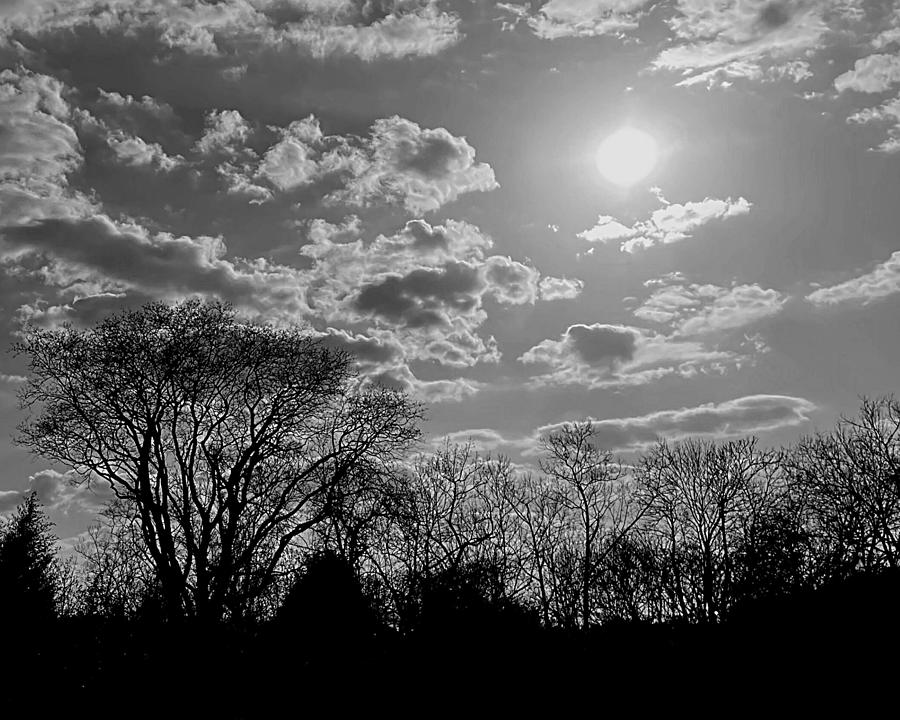 Everything Under the Sun is Perfection BW Photograph by Lee Darnell