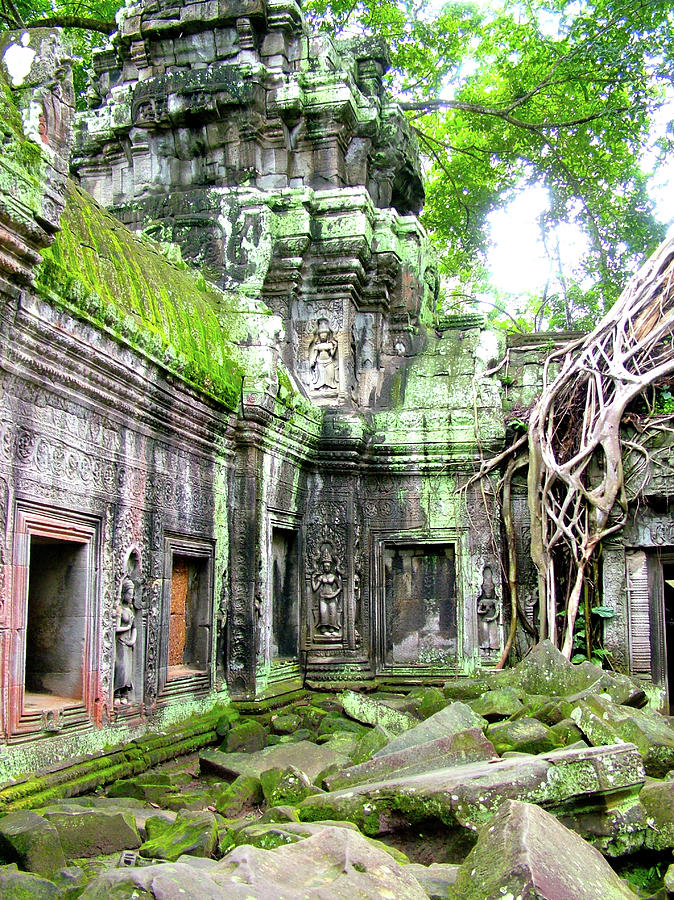 Evidence of how the Tropical Forest Overtook Ta Prohm in Angkor Wat ...