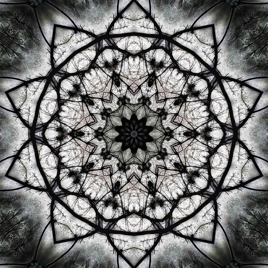 Black And White Mixed Media - Evil Mandala  by Mrnstudios