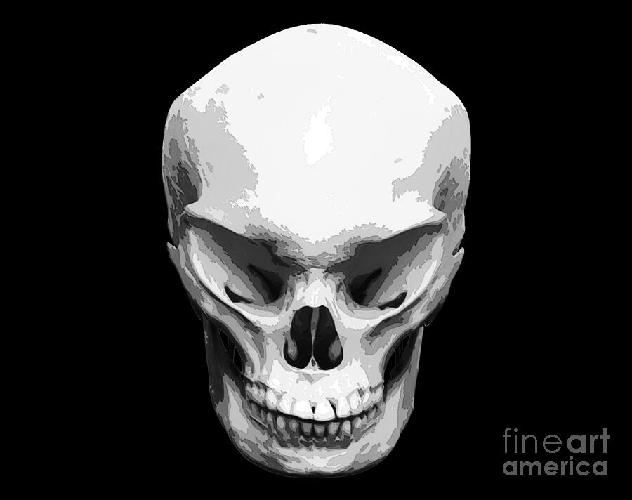 Ghost Mixed Media - Evil Skull Wall Art - High Quality by Stefano Senise Fine Art