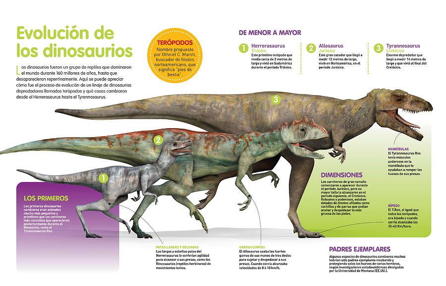 Evolucion de los dinosaurios Digital Art by Album