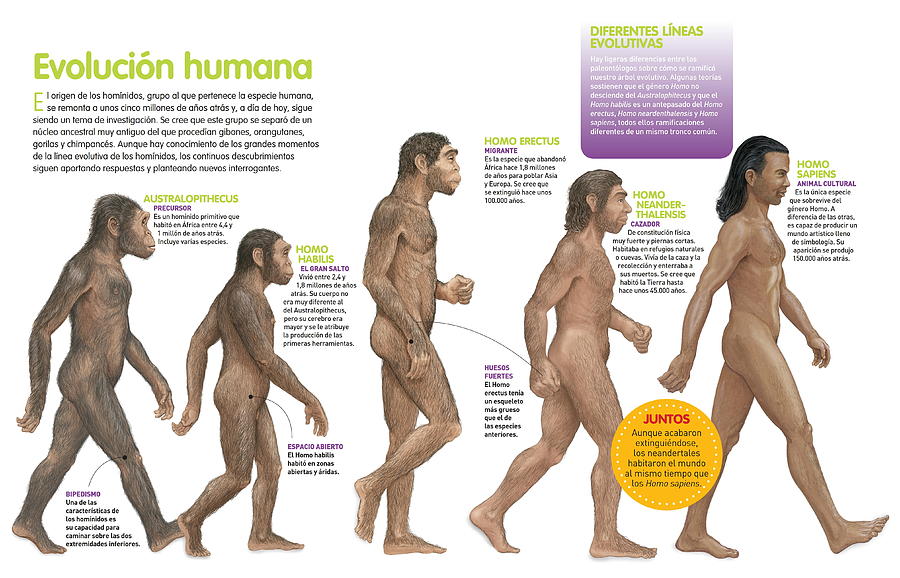 Evolucion Humana Digital Art by Album