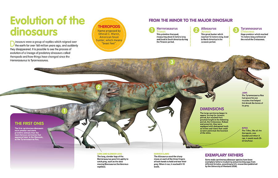 Evolution of dinosaurs Digital Art by Album