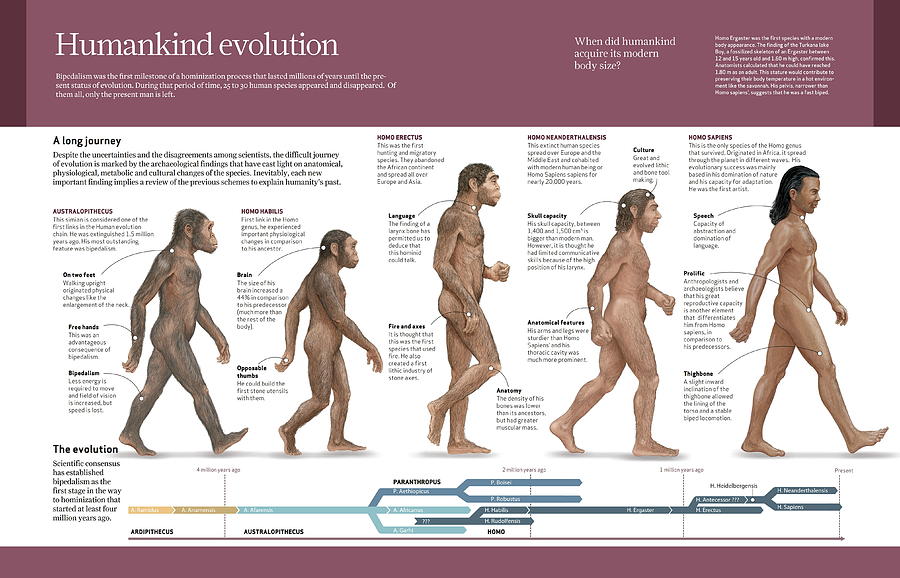 Evolution of Humankind Digital Art by Album
