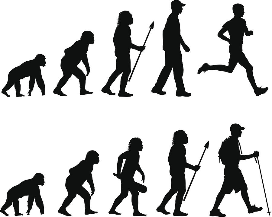 Evolution of the Runner and Hiker Drawing by D-l-b
