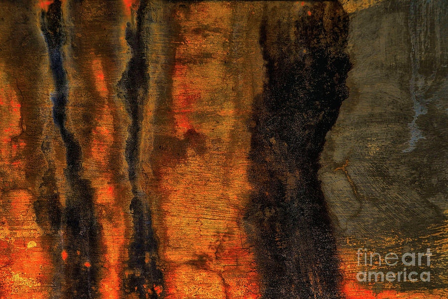 Abstract Photograph - Evolved by Lauren Leigh Hunter Fine Art Photography