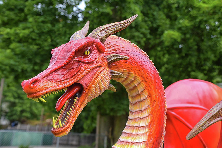 Dragon Photograph - Excited Beast by Mike Martin