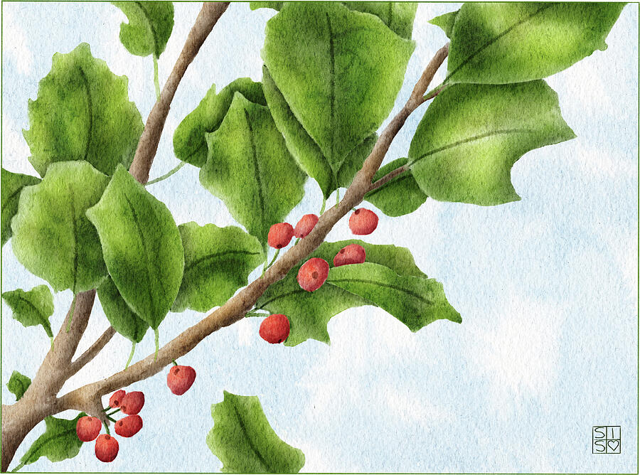 Holly Branch Art Print Hand-Drawn December Birth Flower and Christmas Botanical Illustration Digital Art by Snow Iris Studio Holly Branch Art Print Hand-Drawn December Birth Flower and Christmas Botanical Illustration Digital Art by Snow Iris Studio