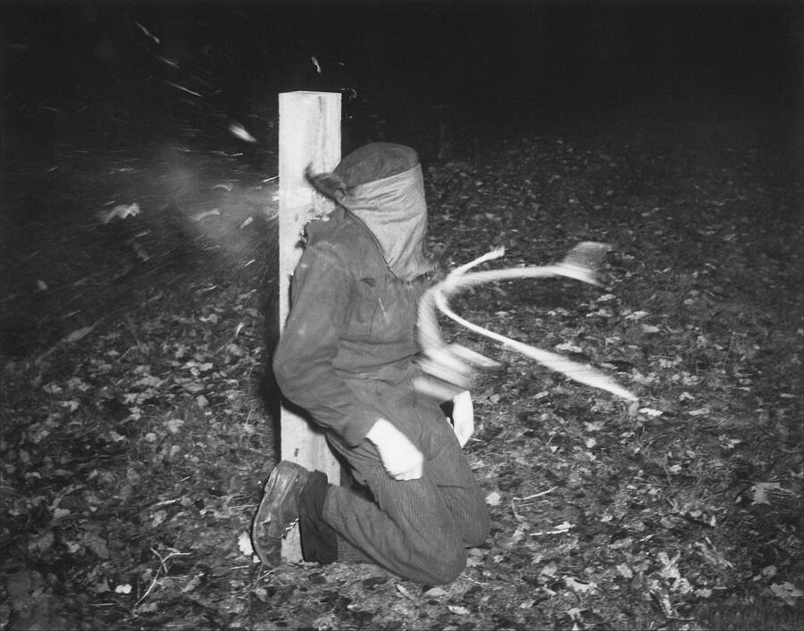 Execution of a French Collaborator, Rennes, November, 1944 Photograph ...