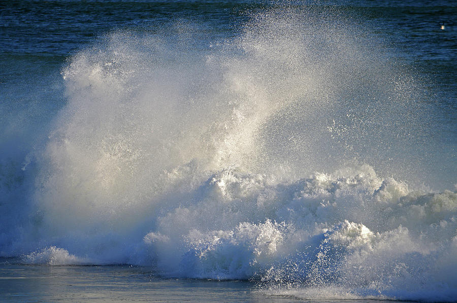 Exhilaration  Photograph by Dianne Cowen Cape Cod Photography