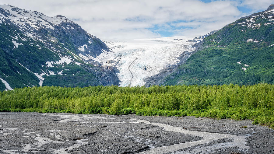 Exit Glacier Kenai Fjords National Park Alaska Photograph by Joan Carroll