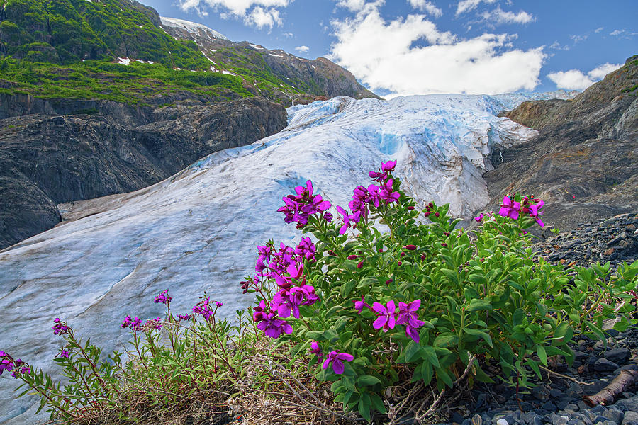 Exit Glacier Photograph by Kyle Lavey