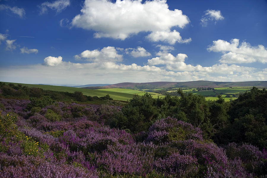 Exmoor National Park Photograph by Pkm1