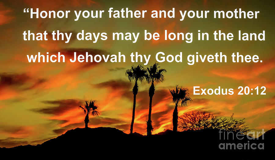 Exodus 20 Verse 12 Photograph by Robert Bales - Pixels