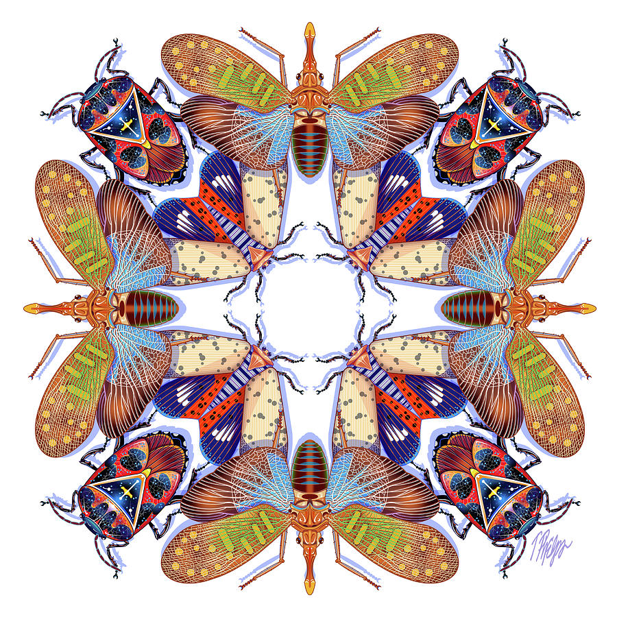 Insects Digital Art - Exotic Bug Collection Mandala by Tim Phelps