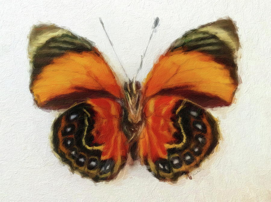 Exotic Butterfly Series #1 Digital Art by Russ Harris