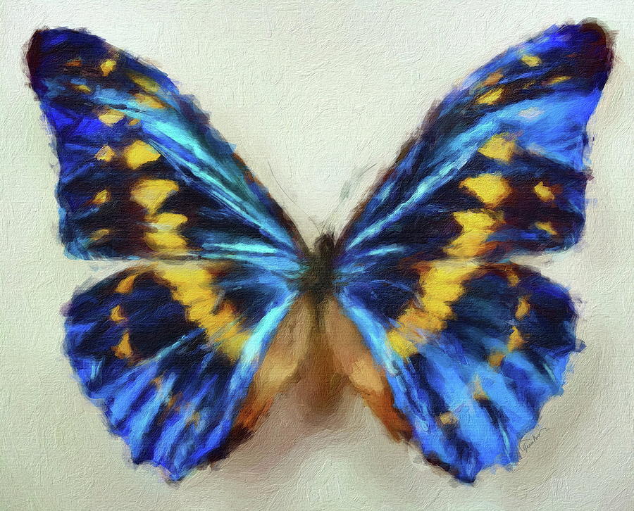Exotic Butterfly Series #2 Digital Art by Russ Harris