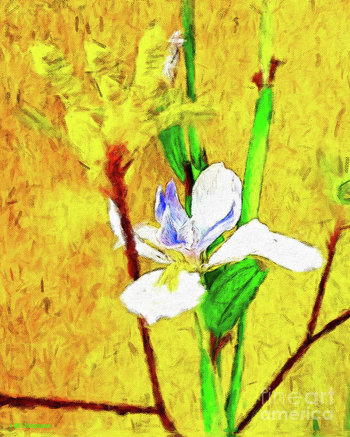 Exotic Flowers Impression Photograph