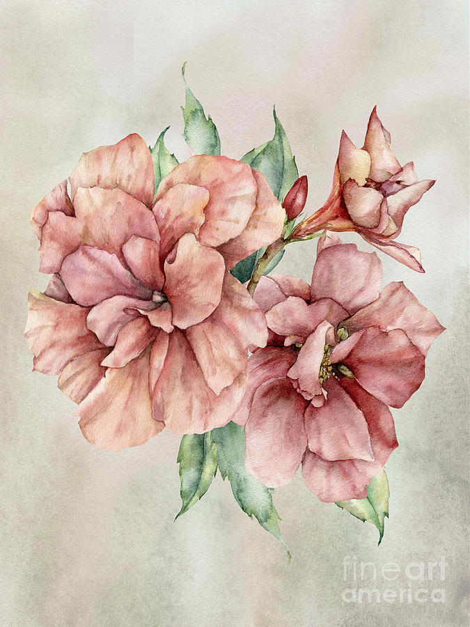 Exotic Tropicals Double Hibiscus Digital Art by J Marielle