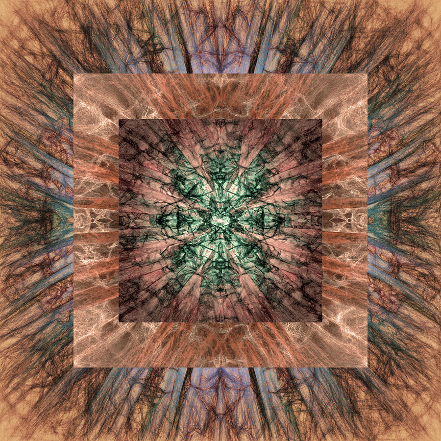 Expanded Yucca Quilt Digital Art by Sheryl Karas