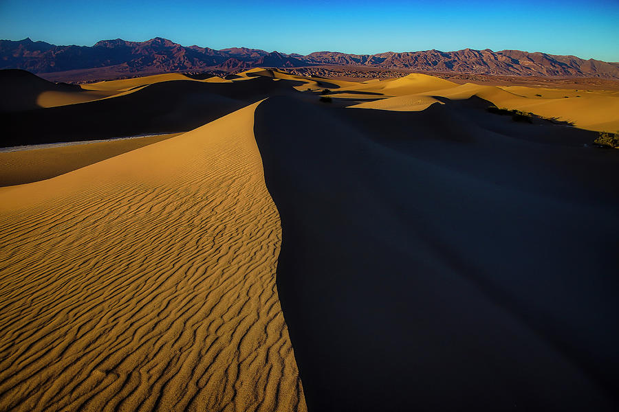 Expansive Sand Dunes Photograph by Garry Gay | Fine Art America