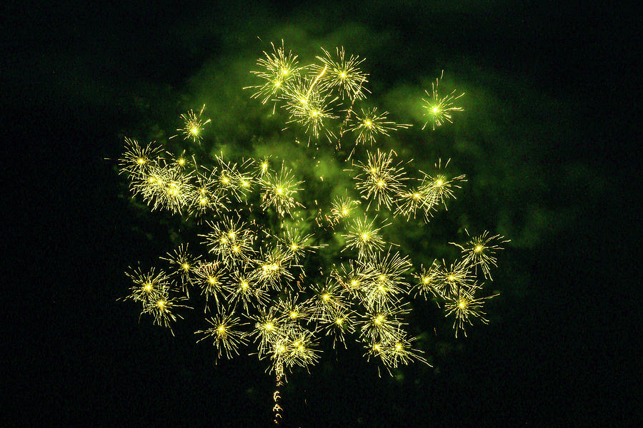Exploding Daisies Fireworks Photograph by Ed Williams