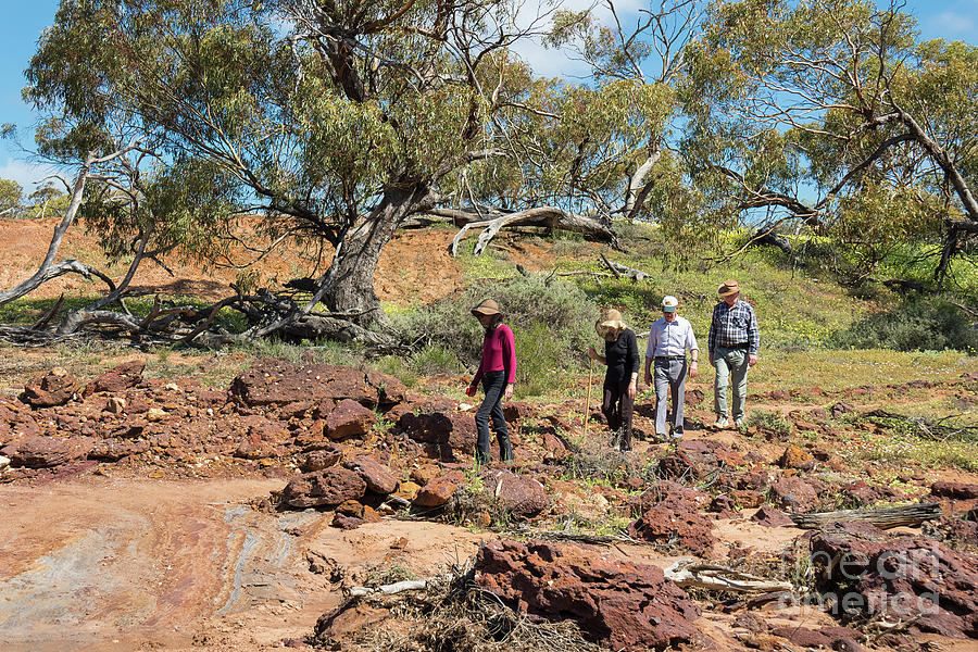 Exploring Coalseam Conservation Park, Nangetty, Western Australia Photograph by Elaine Teague
