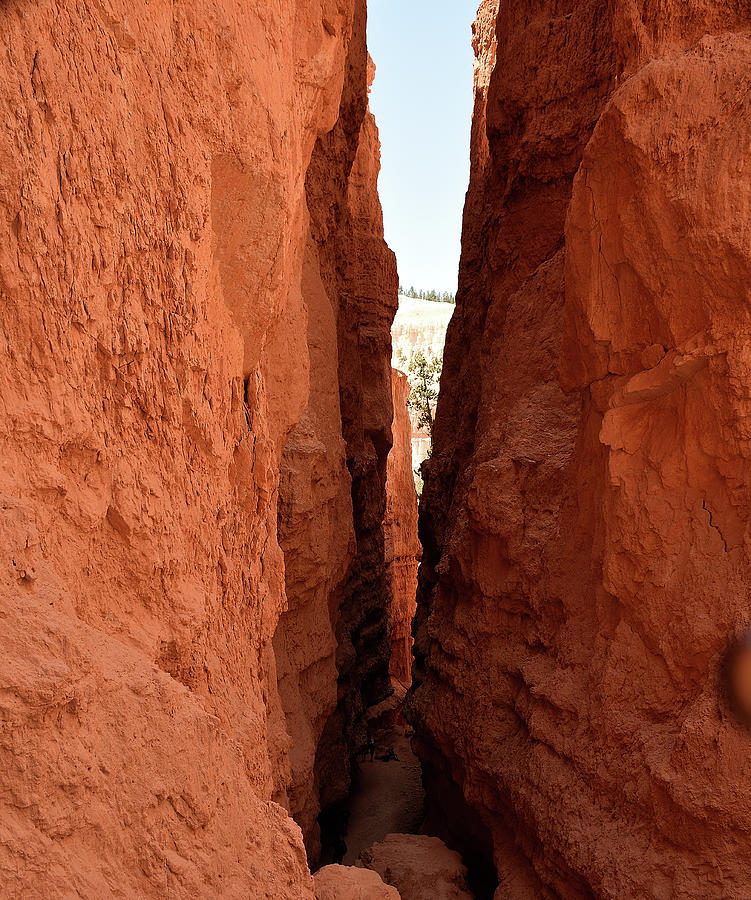Exploring The Depths Of Bryce Canyon N.P. Photograph by Len Bomba