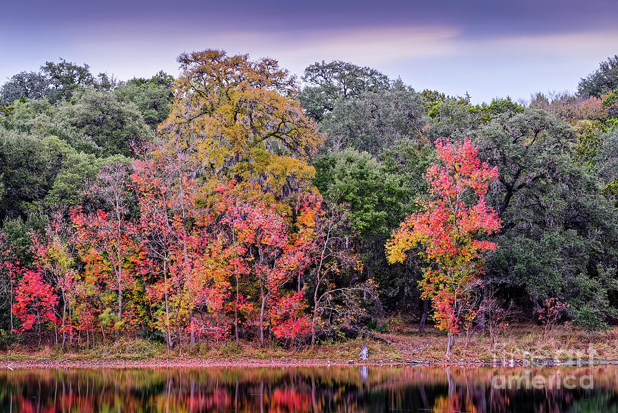 Explosion of Fall Colors by Hidden Pond in Canyon Lake - Comal County Texas Hill Country Photograph by Silvio Ligutti