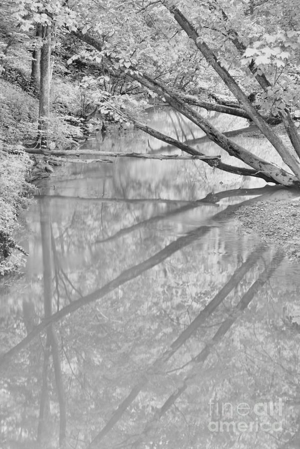 Export PA Bike Path Reflections Black And White Photograph by Adam Jewell