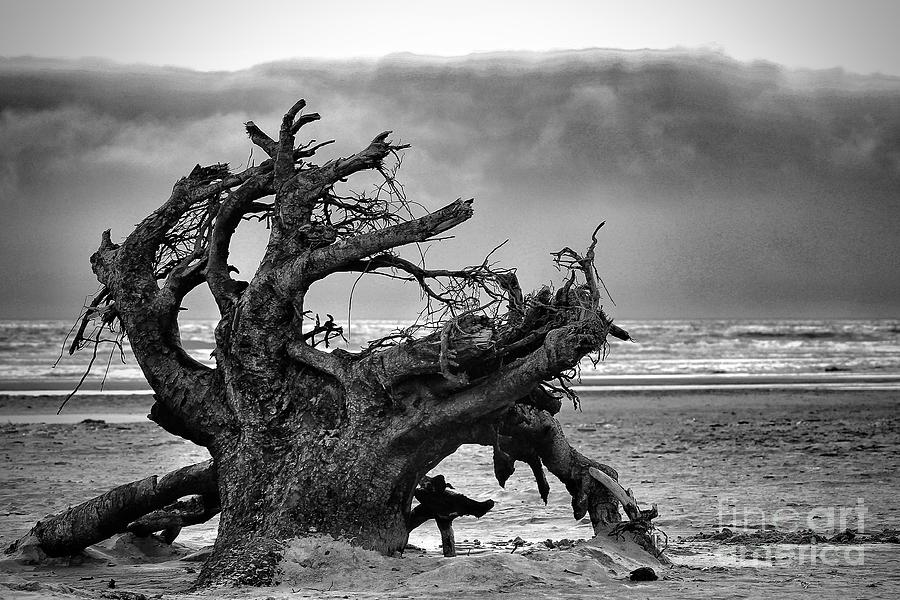 Derek Rees Exposed Photograph by Derek Rees - Fine Art America