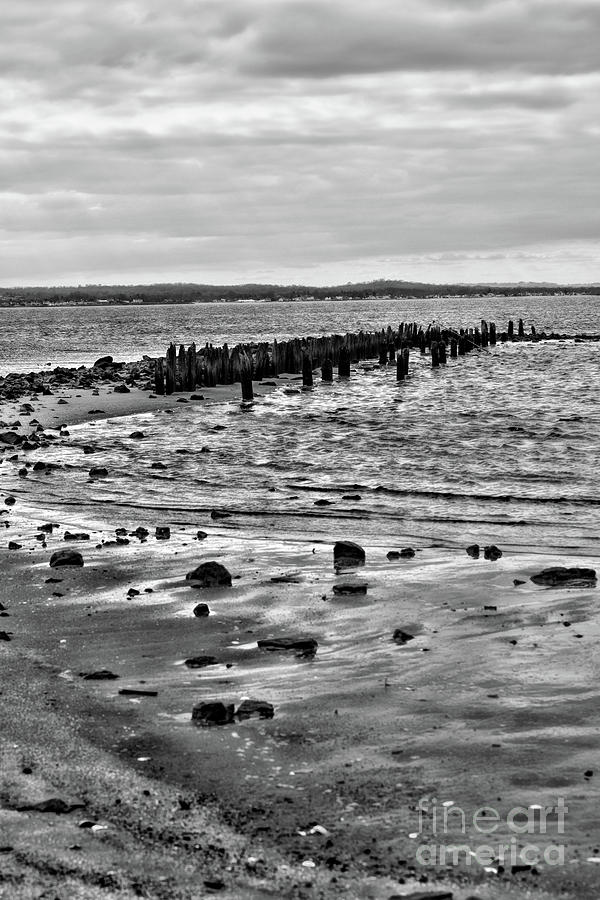 Exposed Pier at Low Tide black and white Photograph by Paul Ward - Fine ...