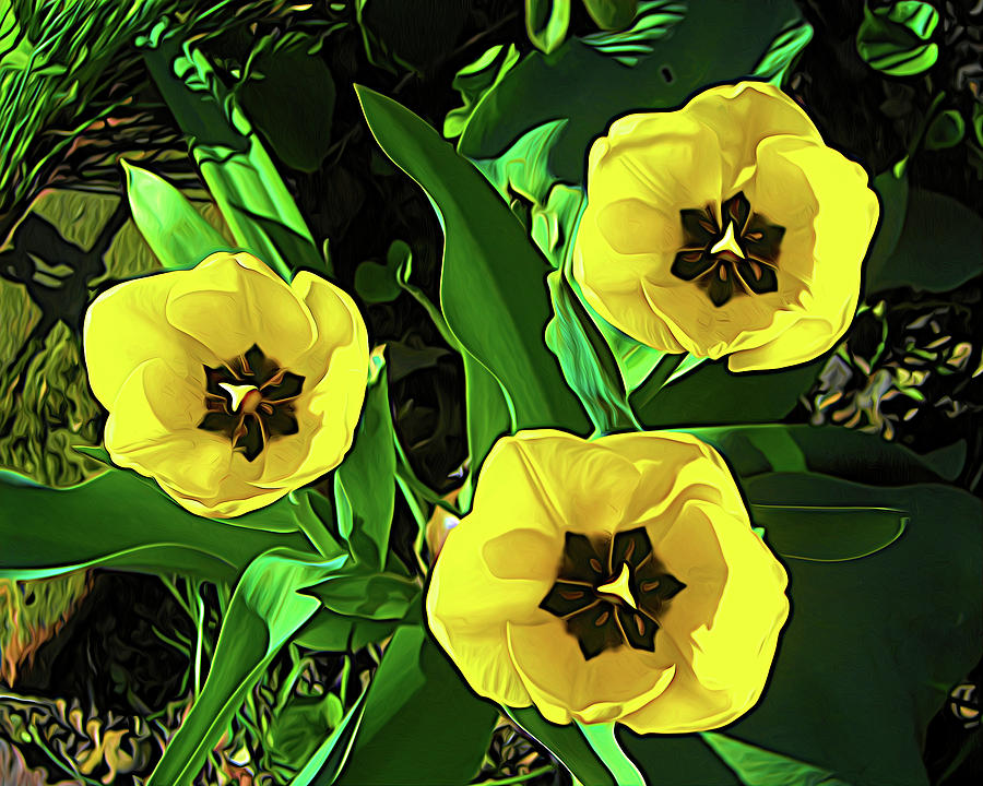 Expressive Yellow Tulips Photograph by Jerry Griffin