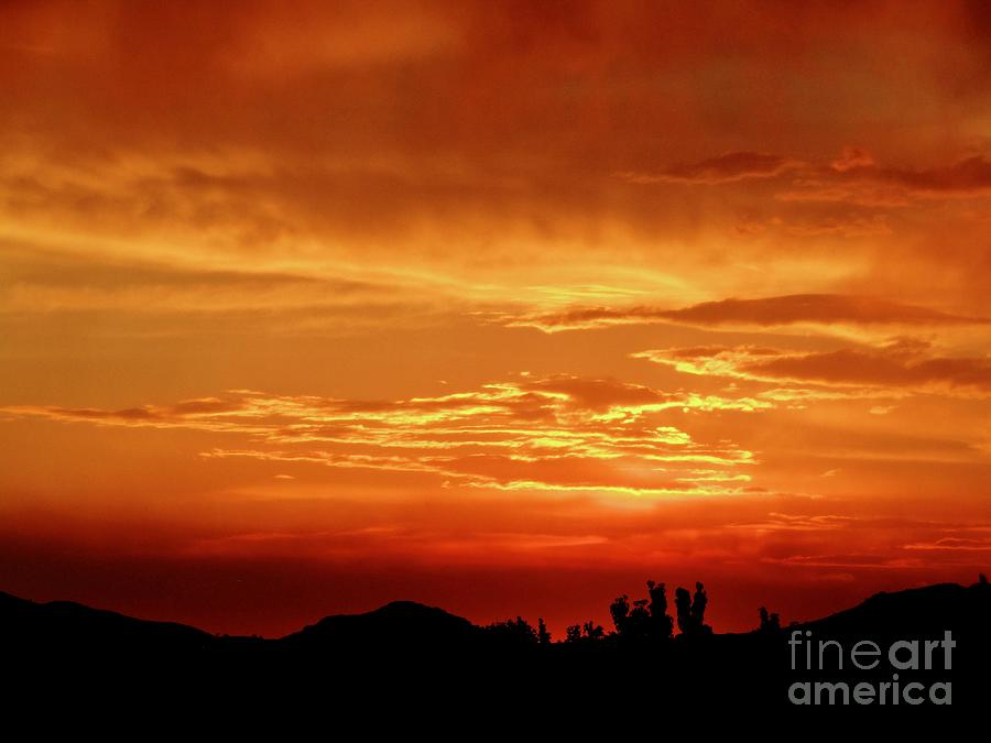 Deep Red Photograph - Exquisit Sunset by Phyllis Kaltenbach
