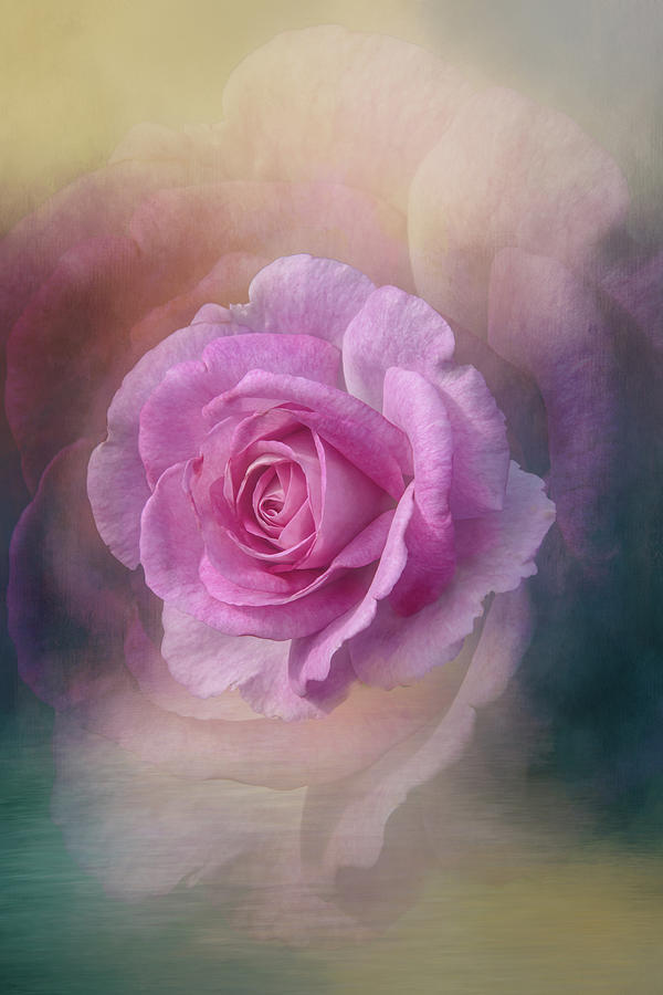 Exquisite Dusty Rose Digital Art by Terry Davis