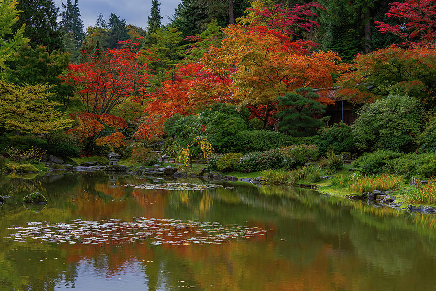 Exquisite Japanese Garden Photograph by Emerita Wheeling