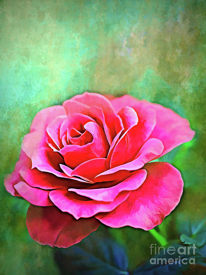 Exquisite Pink Rose Painting by Denise Dundon