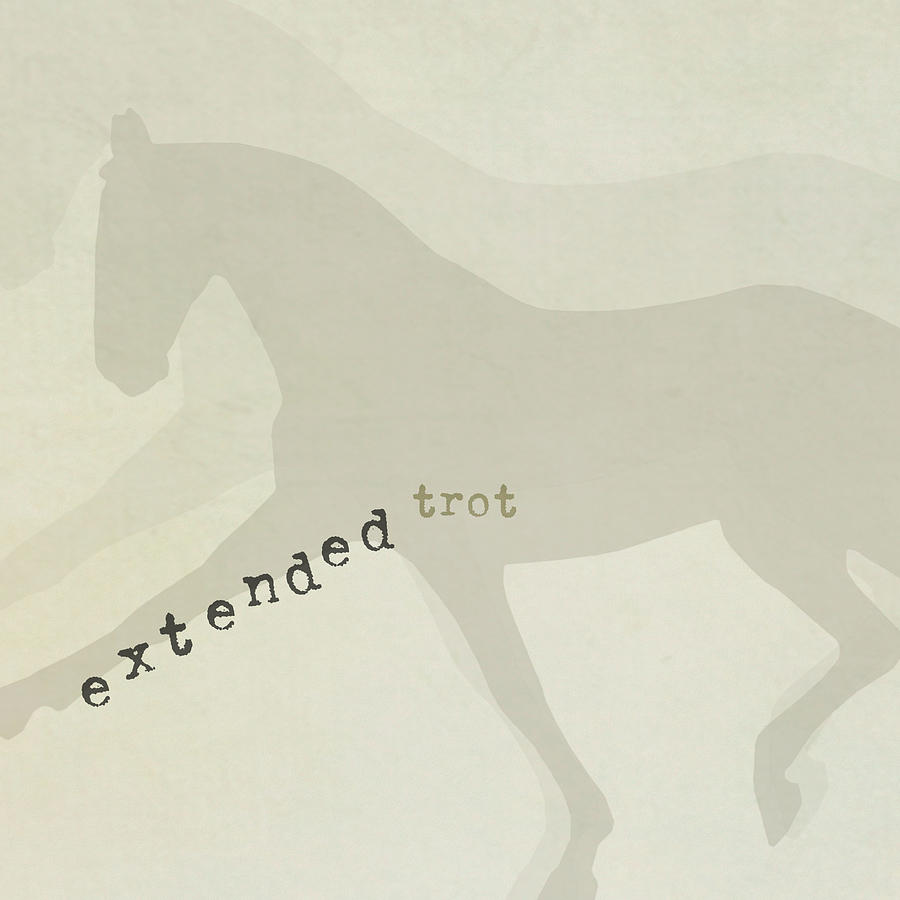 EXTENDED by Dressage Design EXTENDED by Dressage Design