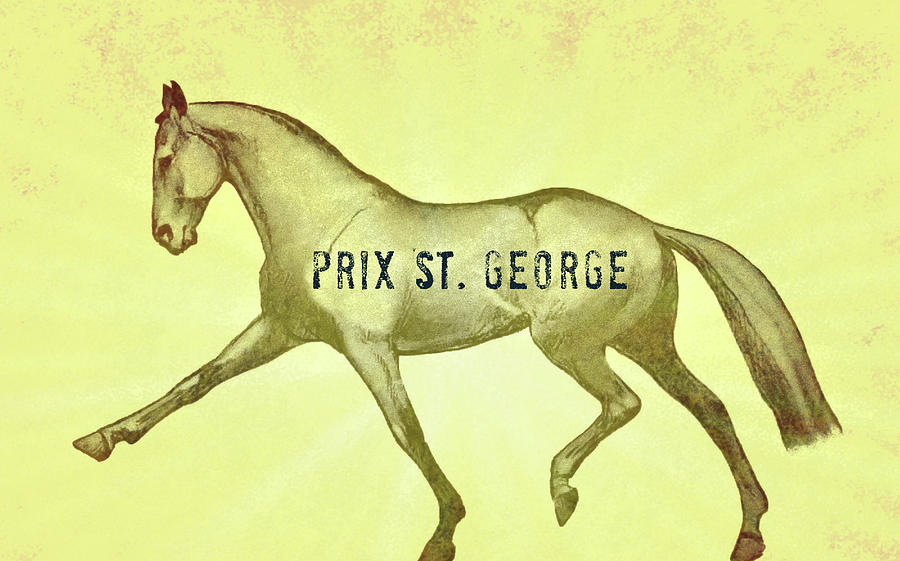 Extended Prix St. George Photograph by Dressage Design