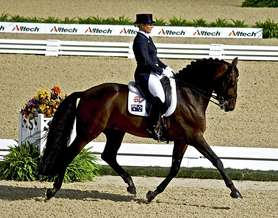 Extended Trot at the Horse Show d Photograph by Running Brook Galleries