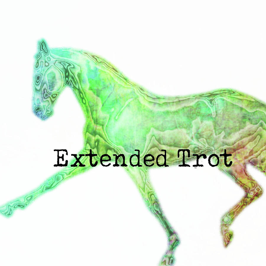 EXTENDED WATERCOLOR SQUARED by Dressage Design EXTENDED WATERCOLOR SQUARED by Dressage Design