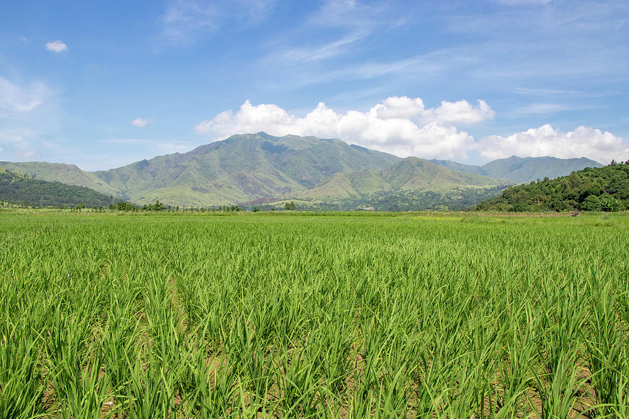 Extensive Fields and Mountains in the Philippines Photograph by Nate ...