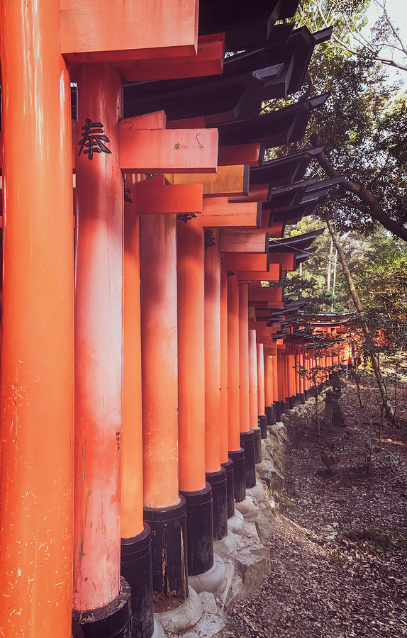 Exterior of Fushimi Inari Shrine Gates Kyoto Japan Vintage Matte Photograph by Joan Carroll