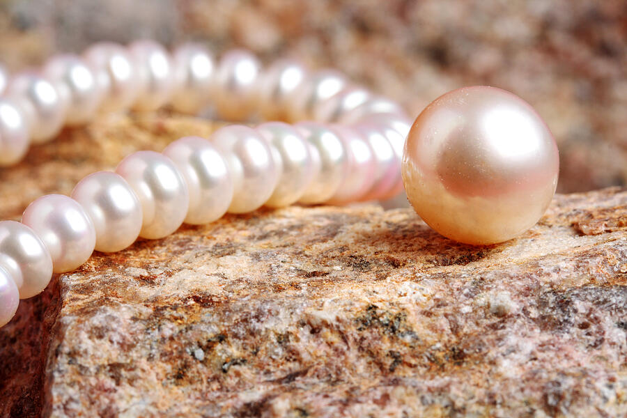 Extreme close up of pearl and a pearl necklace Photograph by Visage