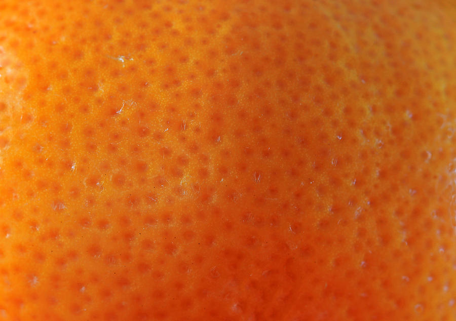 Extreme close-up of the skin or zest of a Mandarin orange (citrus reticulata) fruit Photograph by Zen Rial